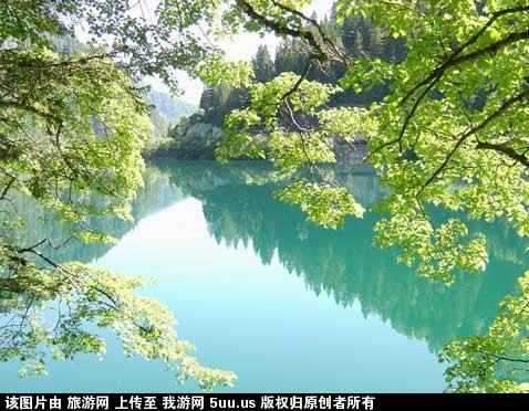 天鹅海1.jpg